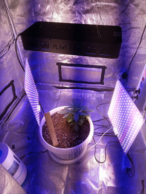 1653150948549.png 1653150948549.png