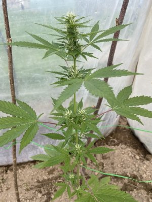 22.05.22 2.jpeg 22.05.22 2.jpeg