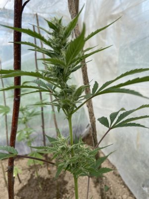 22.05.22 3.jpeg 22.05.22 3.jpeg