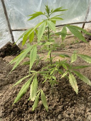 «Малая»22.05.22.jpeg «Малая»22.05.22.jpeg