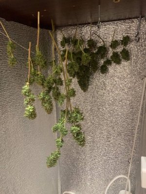 84CDDA80-0679-42DD-B25F-D8A3152E4FBD.jpeg 84CDDA80-0679-42DD-B25F-D8A3152E4FBD.jpeg