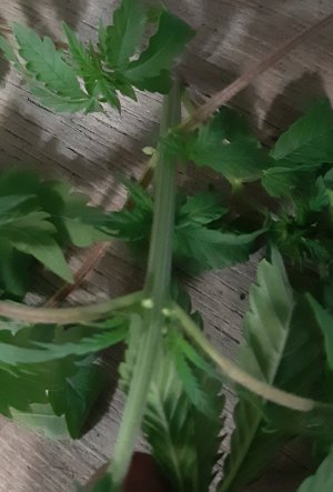 20220523_192254.jpg 20220523_192254.jpg