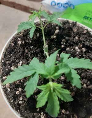 20220523_201614.jpg 20220523_201614.jpg