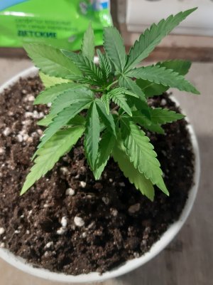 20220524_122534.jpg 20220524_122534.jpg