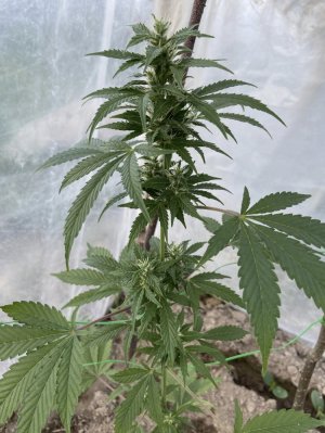 25.05.22.jpeg 25.05.22.jpeg