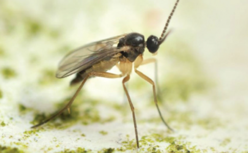 1653575985506.png 1653575985506.png