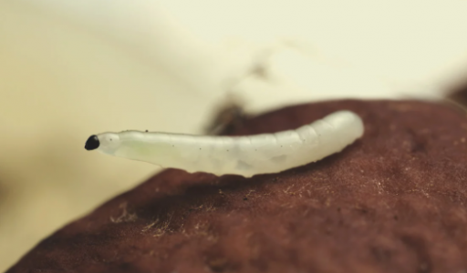 1653576047639.png 1653576047639.png