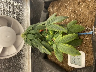 0AD4E80A-6E6B-41E7-BD9B-938134123766.jpeg 0AD4E80A-6E6B-41E7-BD9B-938134123766.jpeg