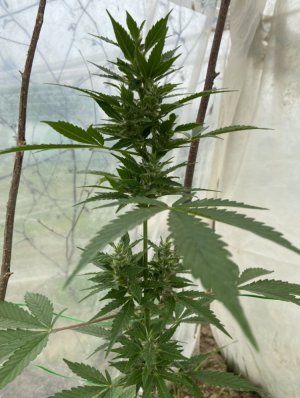 30.05.22 3.jpeg 30.05.22 3.jpeg