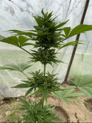 30.05.22 2.jpeg 30.05.22 2.jpeg