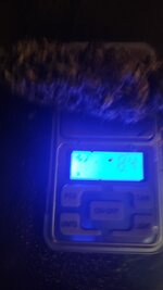 IMG_20251221_210732.jpg IMG_20251221_210732.jpg