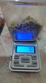 IMG_20251229_212357.jpg IMG_20251229_212357.jpg