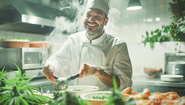 kanna-kuhnya-kak-ustroeny-kanna-produkty__OA2ooCXaVqU6uPON.jpg kanna-kuhnya-kak-ustroeny-kanna-produkty__OA2ooCXaVqU6uPON.jpg