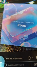 1000045302.jpg 1000045302.jpg