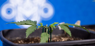 1767711200070.png 1767711200070.png