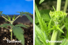 1767711345734.png 1767711345734.png