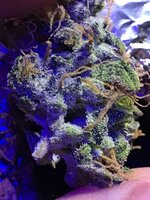 Whiskey Zulu тяп ляп