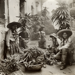 1769101787801.png 1769101787801.png