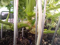 I am sexy, and you know it!