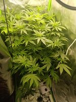 Попытка улучшить результат.