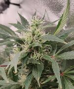 Day 83 (24.01) (2).jpg