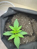 1cc28c4d-14bb-44bf-a5cd-6195421399c5 (1).jpg