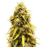 1769349697982.png 1769349697982.png