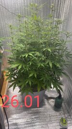 Автик+фотик(упор на фотик)