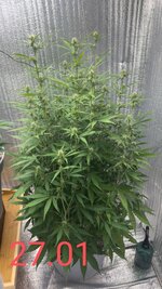 Автик+фотик(упор на фотик)