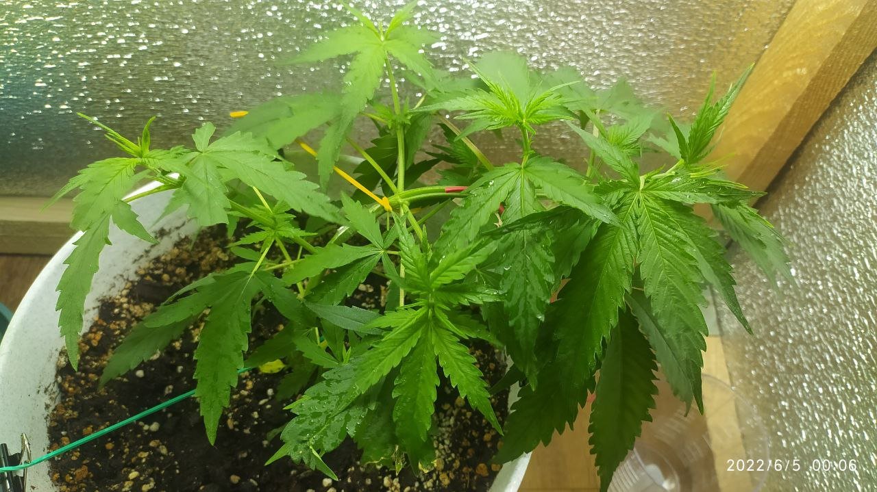 photo_2022-06-05_01-50-13 (2).jpg