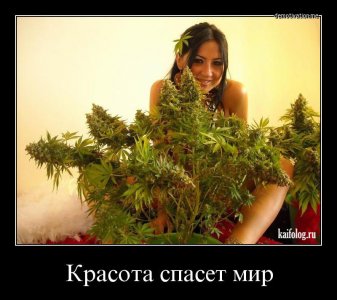 1455613236_062.jpg 1455613236_062.jpg