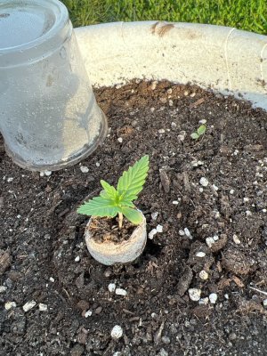 20AAFAEF-BEF0-4125-AABF-BF3D95003A37.jpeg 20AAFAEF-BEF0-4125-AABF-BF3D95003A37.jpeg