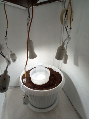 1654457132994.png 1654457132994.png