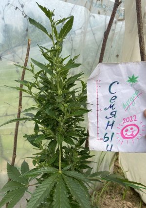 8.06.22 5.jpeg 8.06.22 5.jpeg