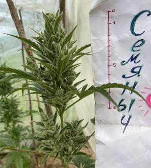 8.06.22 4.jpeg 8.06.22 4.jpeg