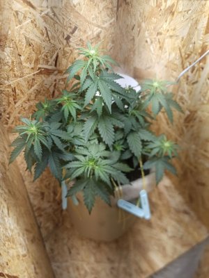 photo_2022-06-09_22-13-11.jpg photo_2022-06-09_22-13-11.jpg