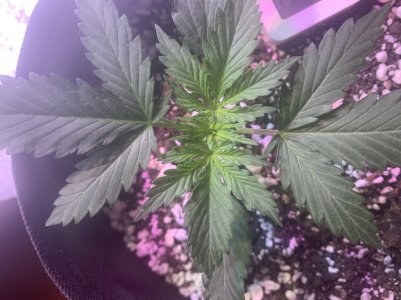 8F1CE2B3-08AD-40D3-B038-863C9616AA7B.jpeg 8F1CE2B3-08AD-40D3-B038-863C9616AA7B.jpeg