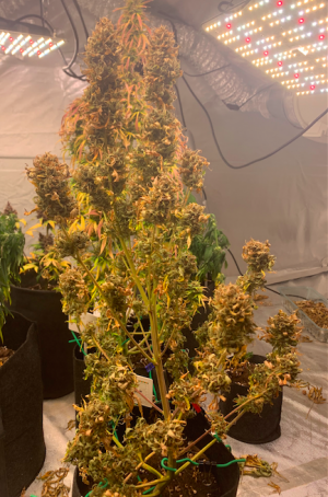 Снимок экрана 2022-06-11 в 17.44.27.png Снимок экрана 2022-06-11 в 17.44.27.png