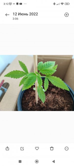 Screenshot_2022-06-12-03-12-11-321_com.miui.gallery.jpg Screenshot_2022-06-12-03-12-11-321_com.miui.gallery.jpg