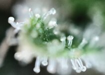 Day 144 23.03 (3).jpg