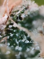 Day 144 23.03 (4).jpg