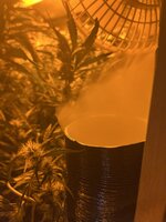 1 — копия.jpg