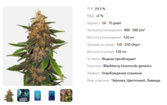 1775458109785.png 1775458109785.png