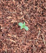 Day 1 6.04.jpg Day 1 6.04.jpg