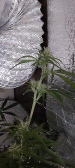 20260407_173632 — копия.jpg