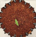 Day 5 10.04.jpg Day 5 10.04.jpg