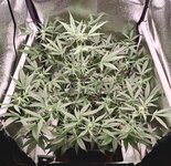 48 (2).jpg 48 (2).jpg