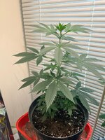 WhatsApp Image 2026-04-13 at 16.18.46.jpeg