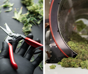 1776271339690.png 1776271339690.png