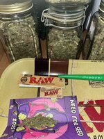 13 — копия.JPG